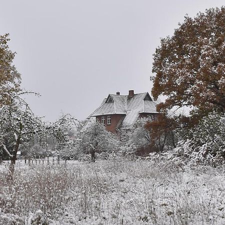 Ferienwohnung Ehemalige Revierfoersterei "Uns Luett" Kuhstorf Dış mekan fotoğraf